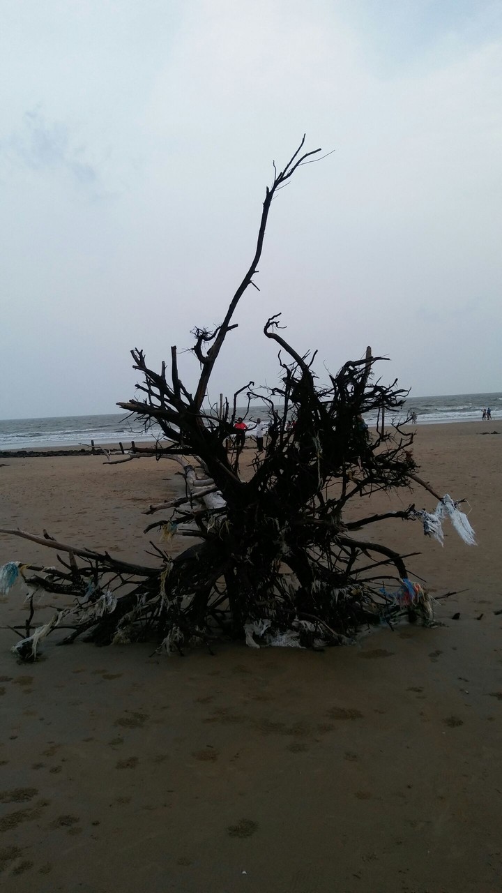 Near Sea