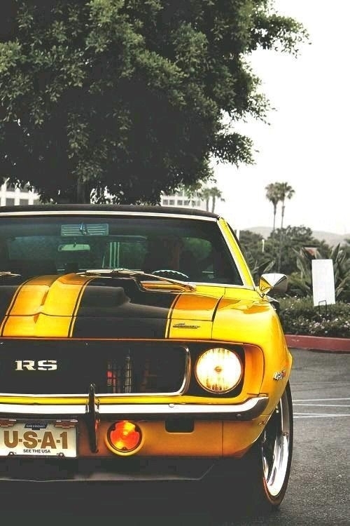 men's dream car