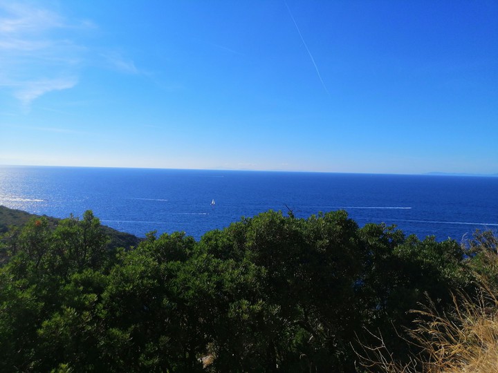 sea