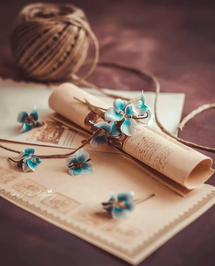 flowers and page