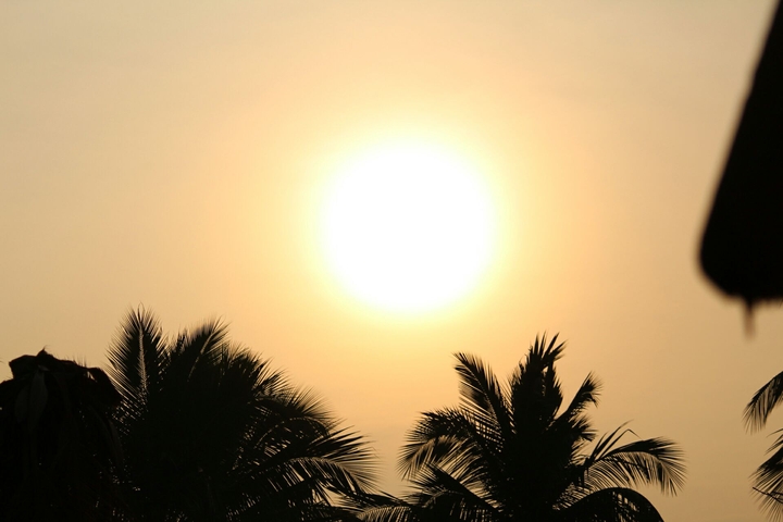Early morning