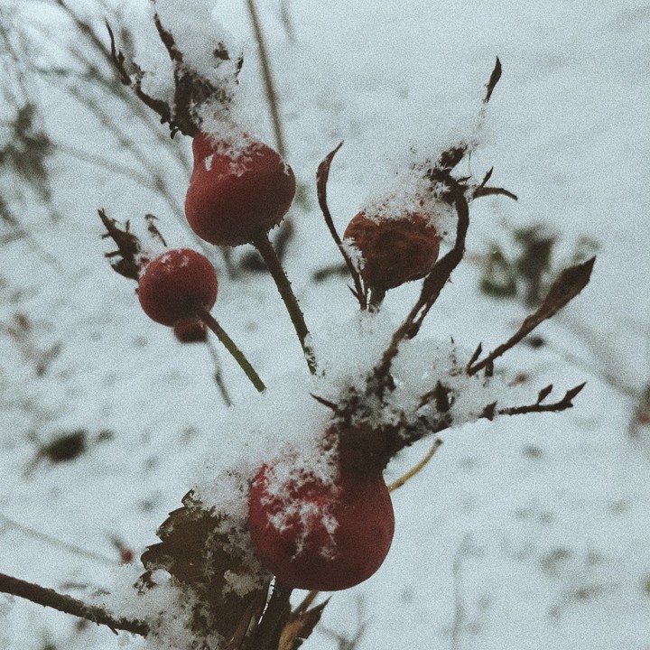 winter