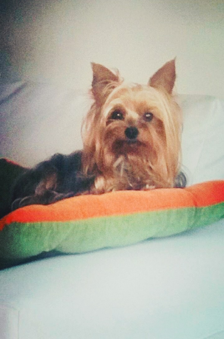 Coco