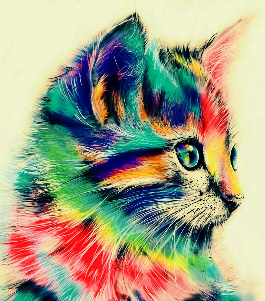 i love this cat!!