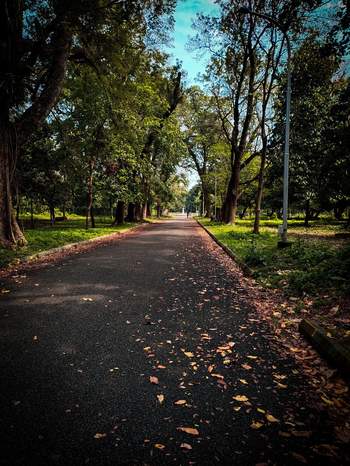 Endless