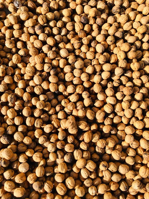 обои food, allspice