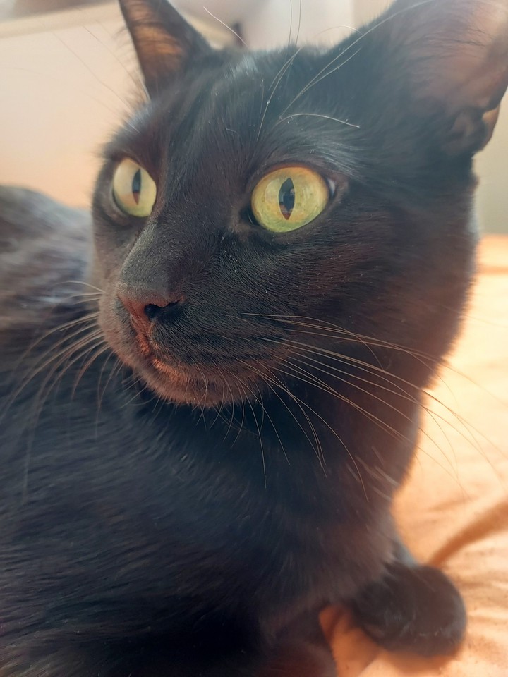 Rocky