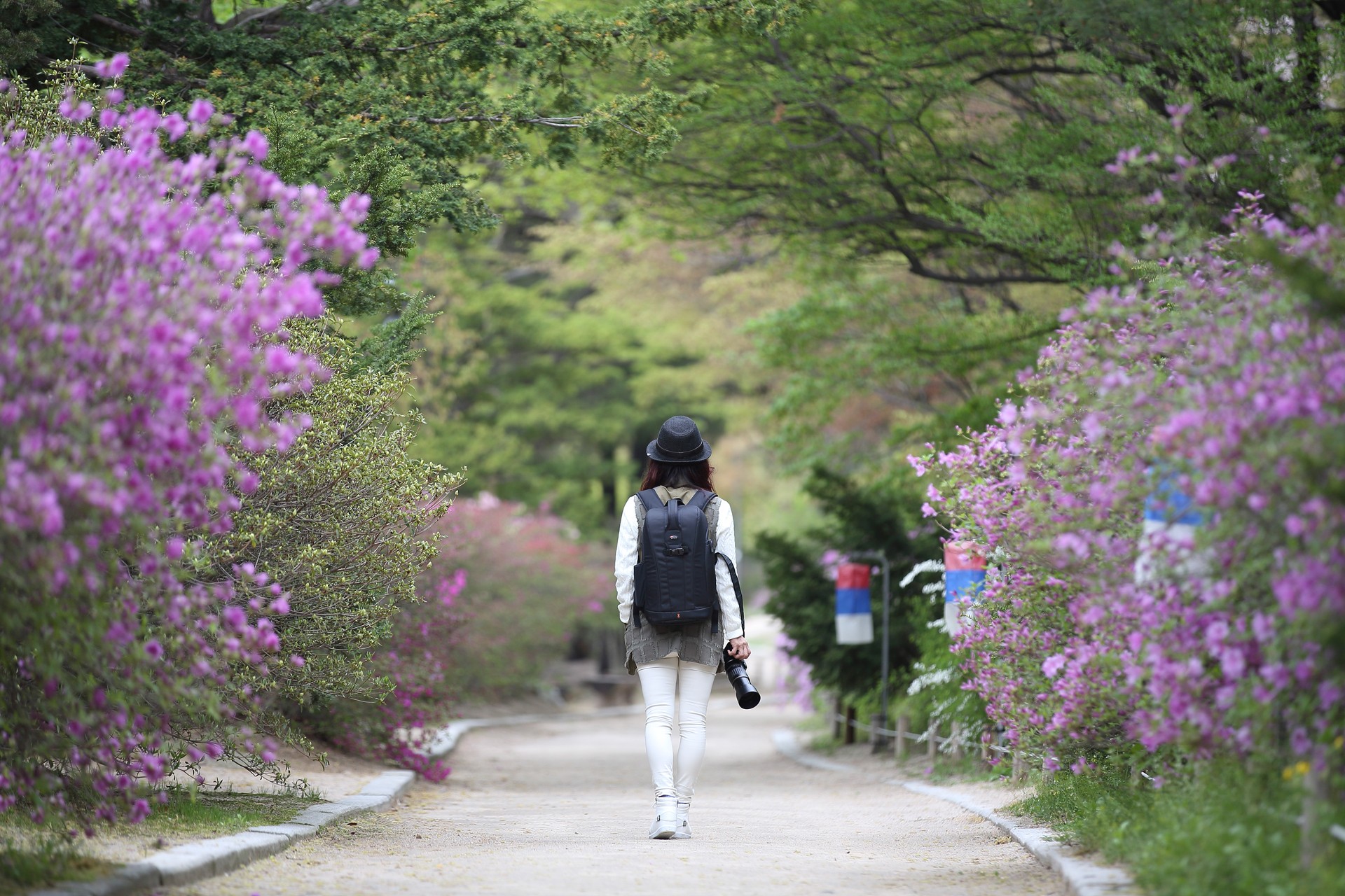Stroll of photographer