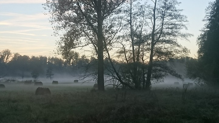 Herbstnebel