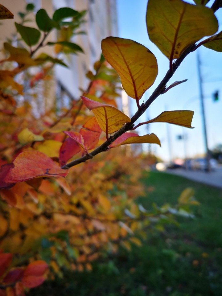 Nature