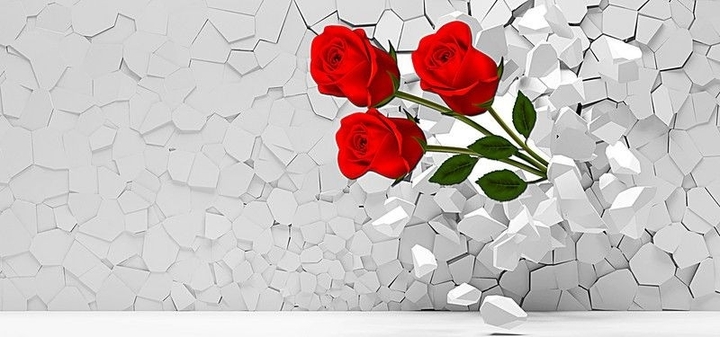 rosa
