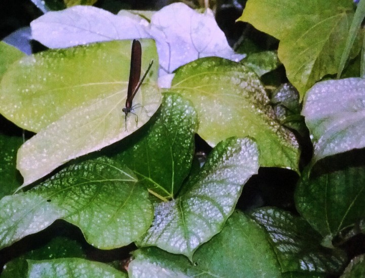 예전에 찍우사진