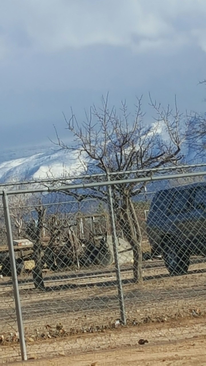 snow