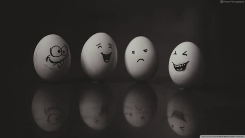 egg's