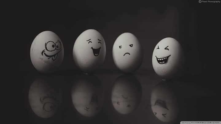egg's