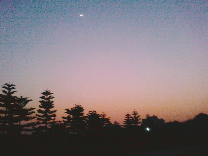 Wonderful Evening