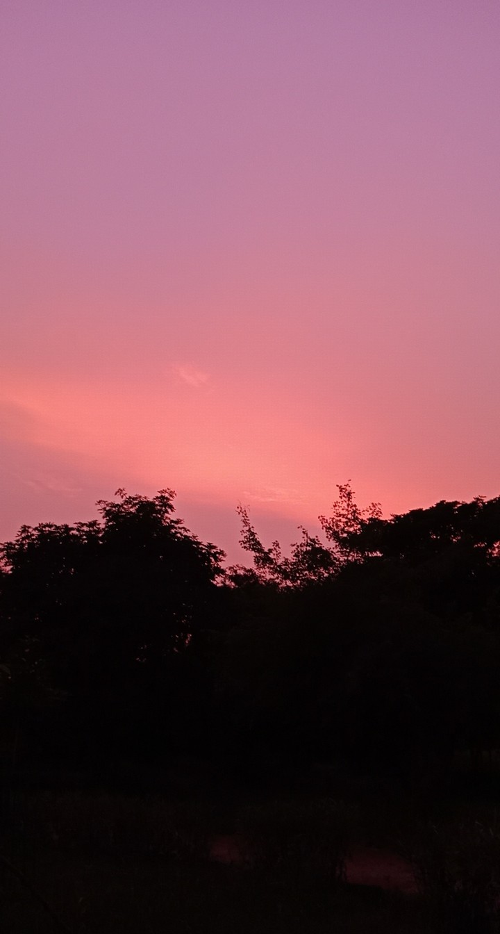 Red Sky