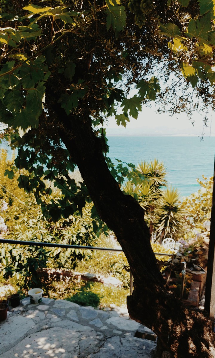 sea