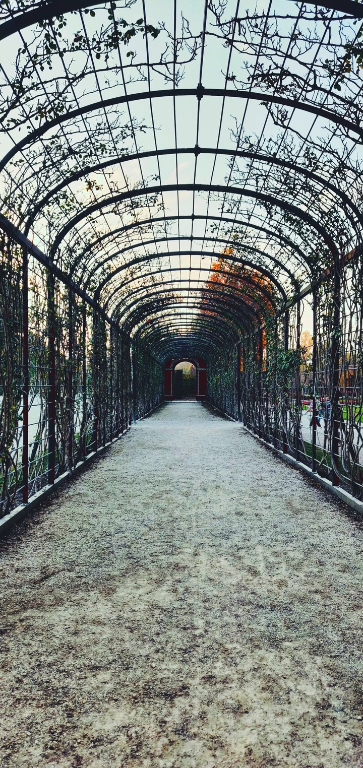 tunnel