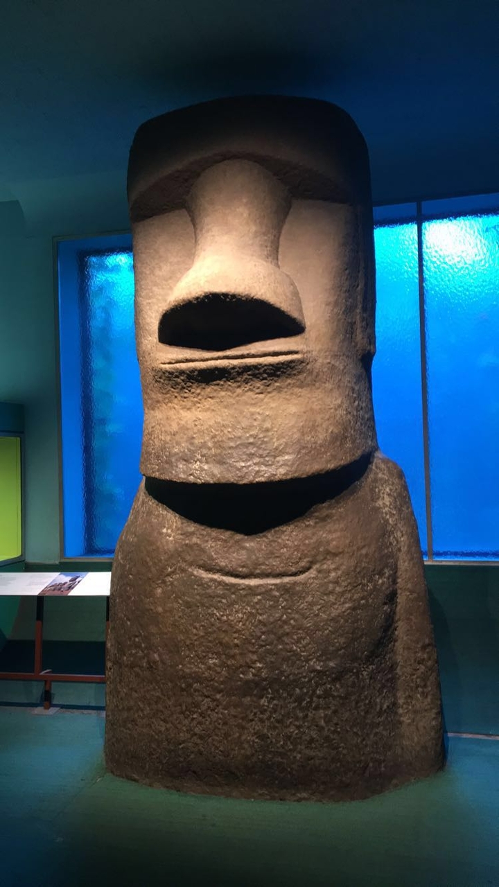 Natural History artifact