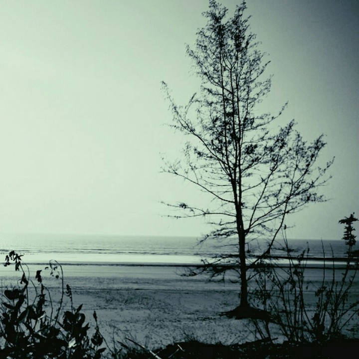 Calm
