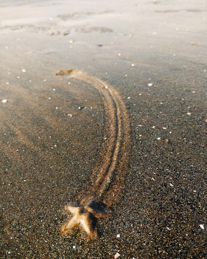 Star Trail