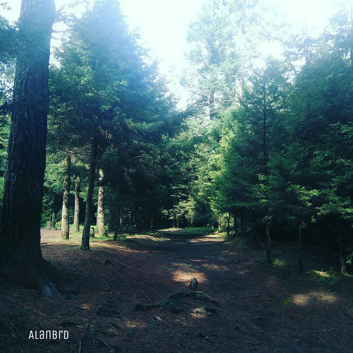 Parque Nacional Ajusco