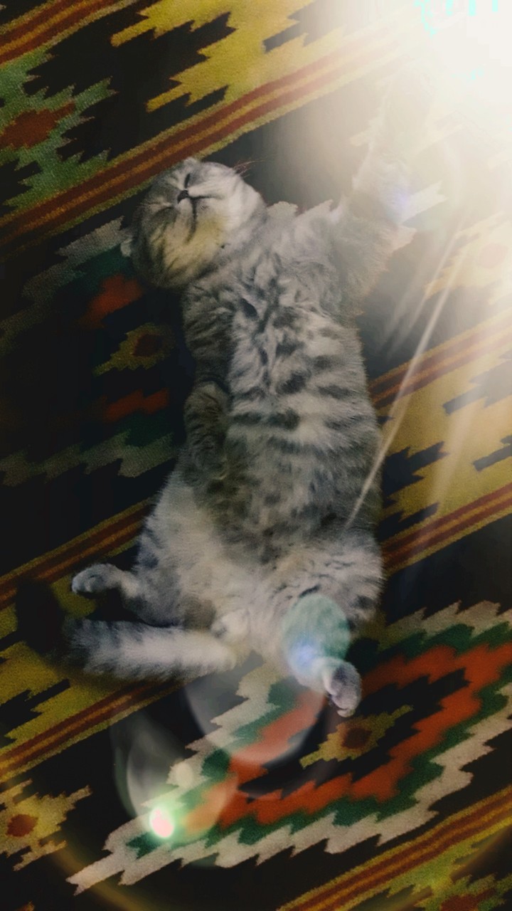 just an Oscar