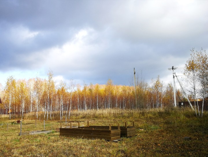 Autumn near the Moscow