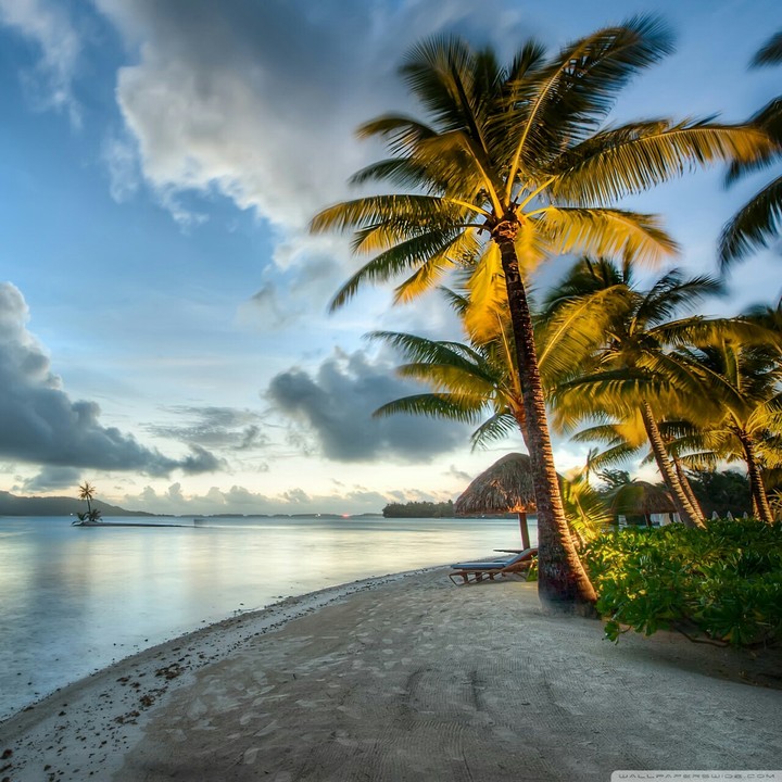Beach