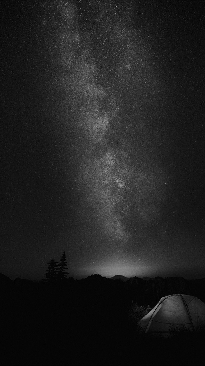 night
