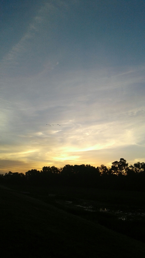 Sunrise.