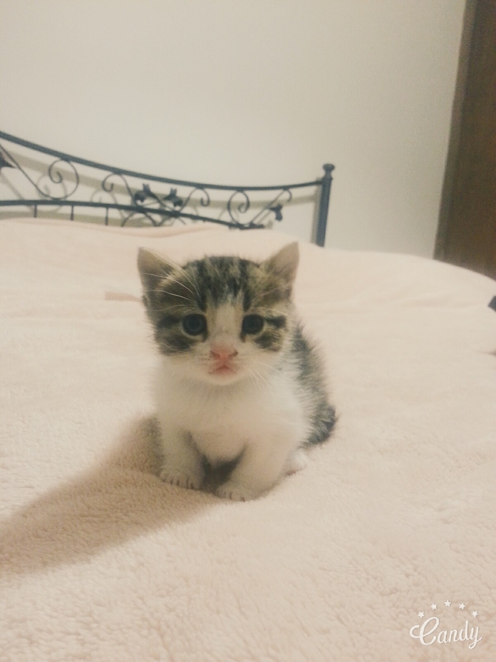 Cute