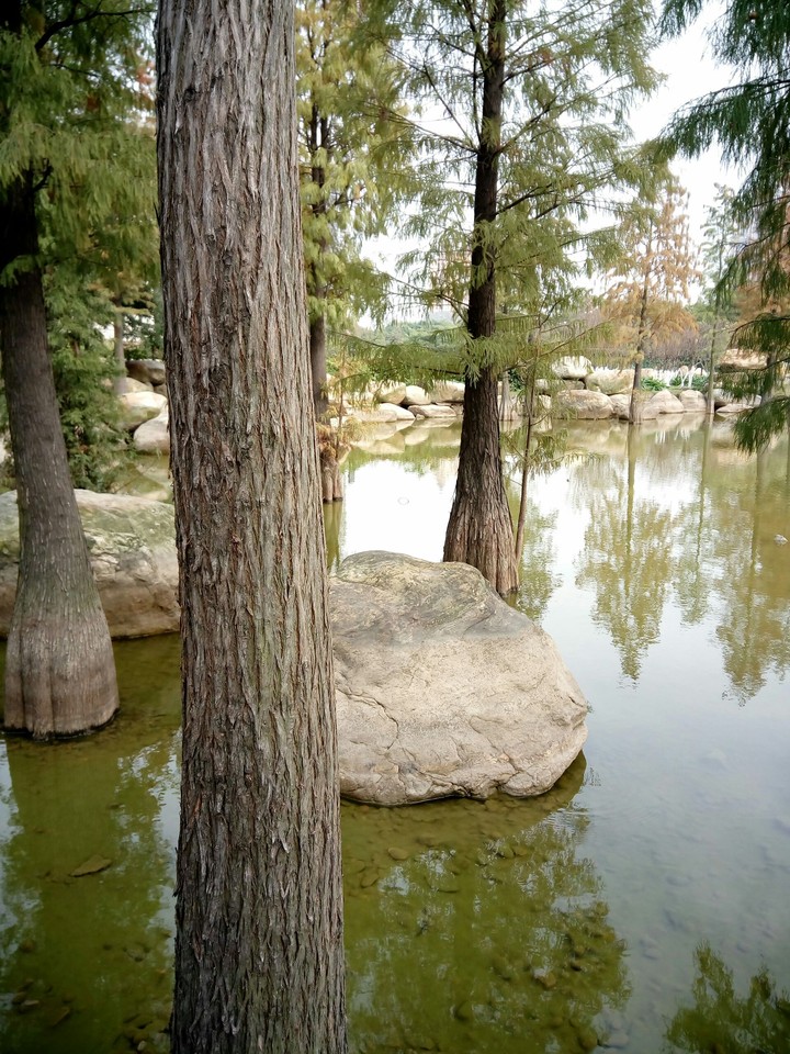 Chinese park