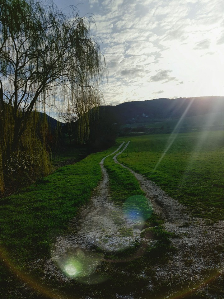 paradise