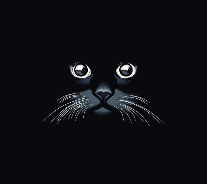 cat and black are my life:(