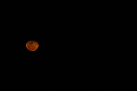 Good night moon°°