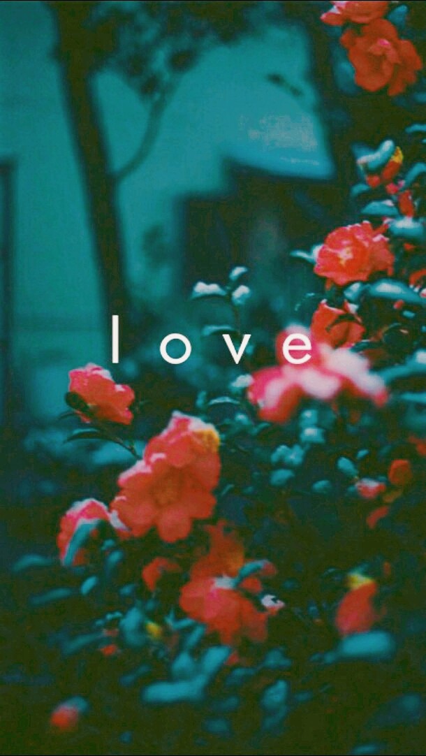 Love,flowers