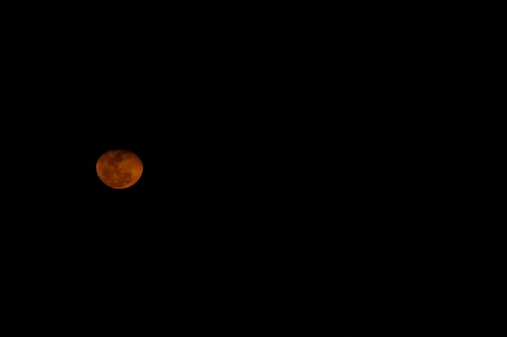 Good night moon°°