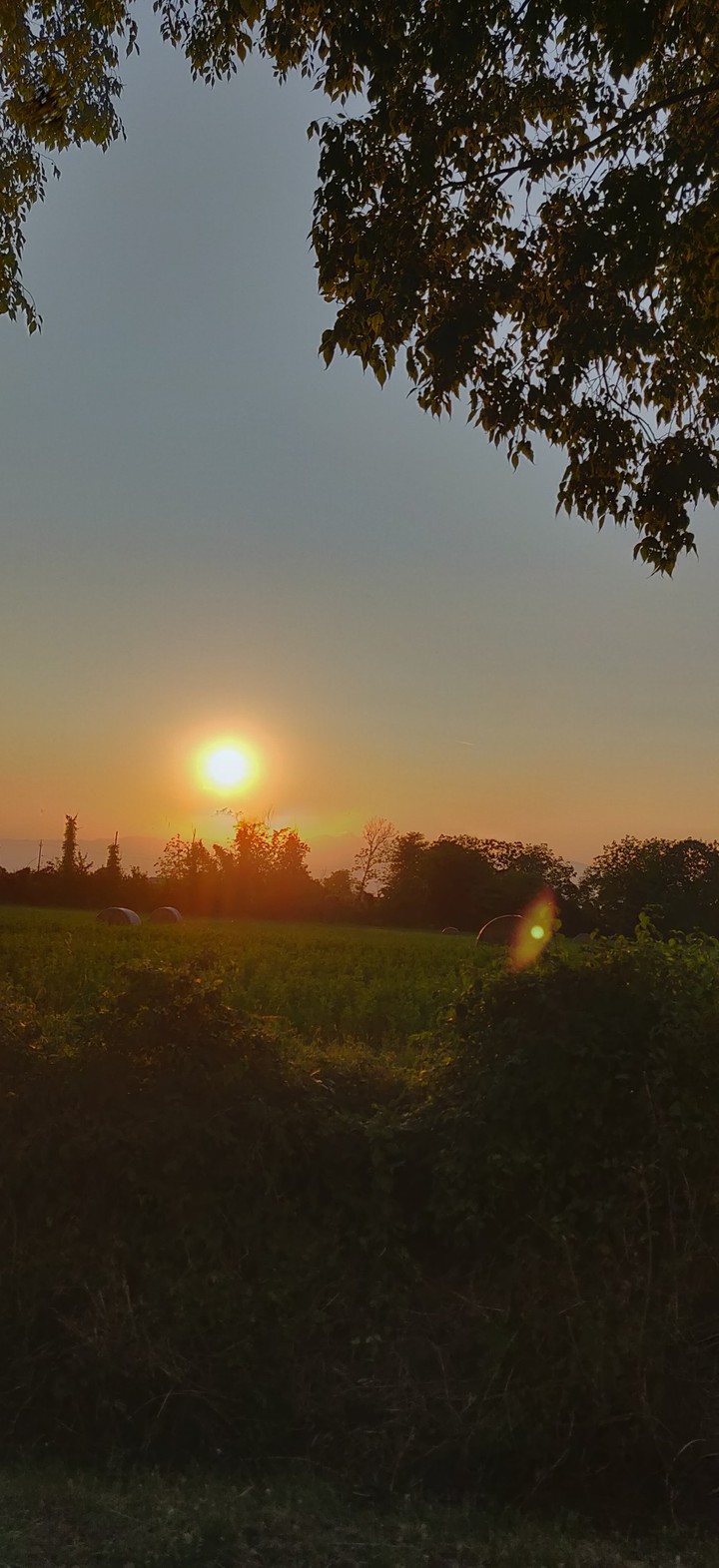Alba