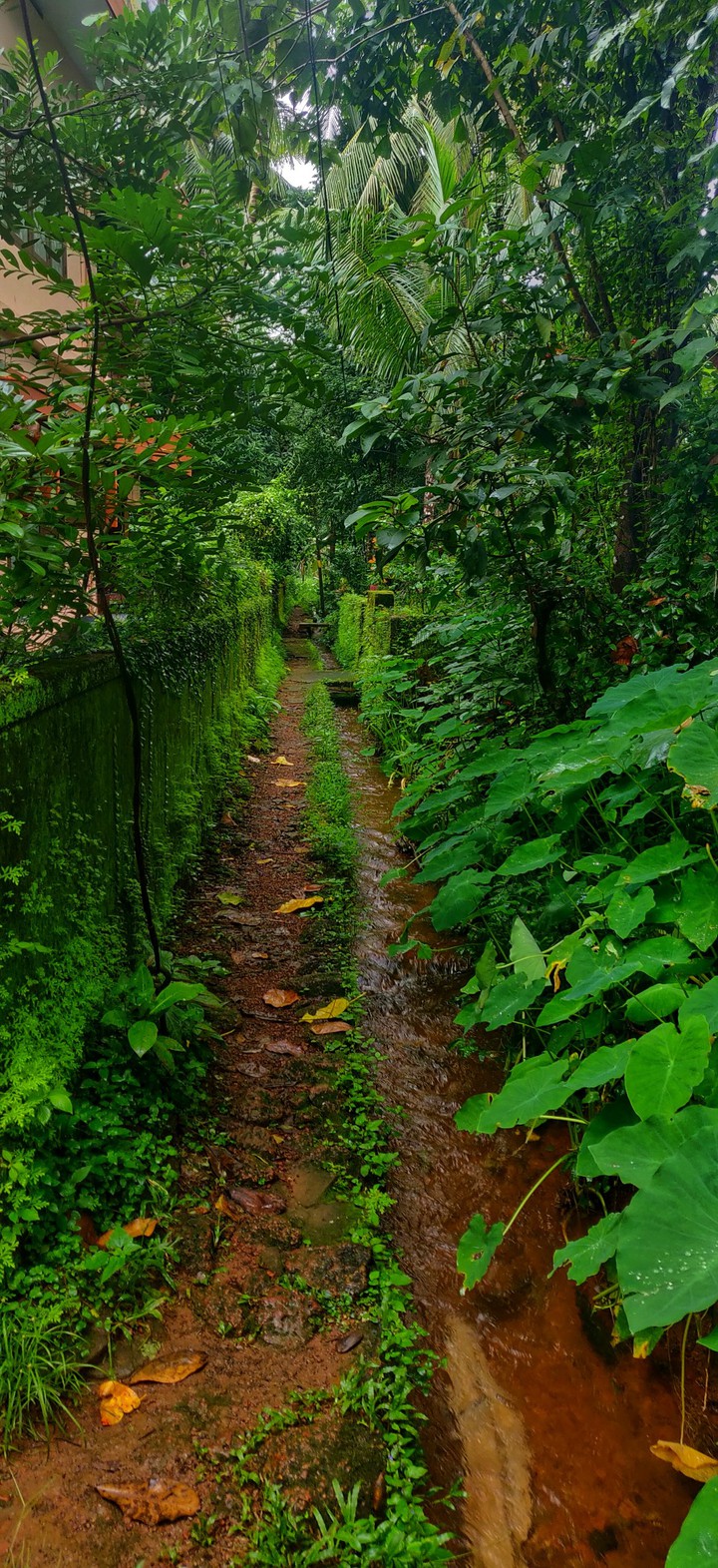 Pathway