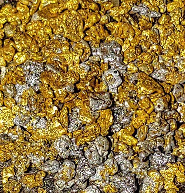 Gold Everywhere