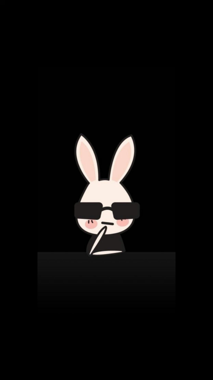 rabbit
