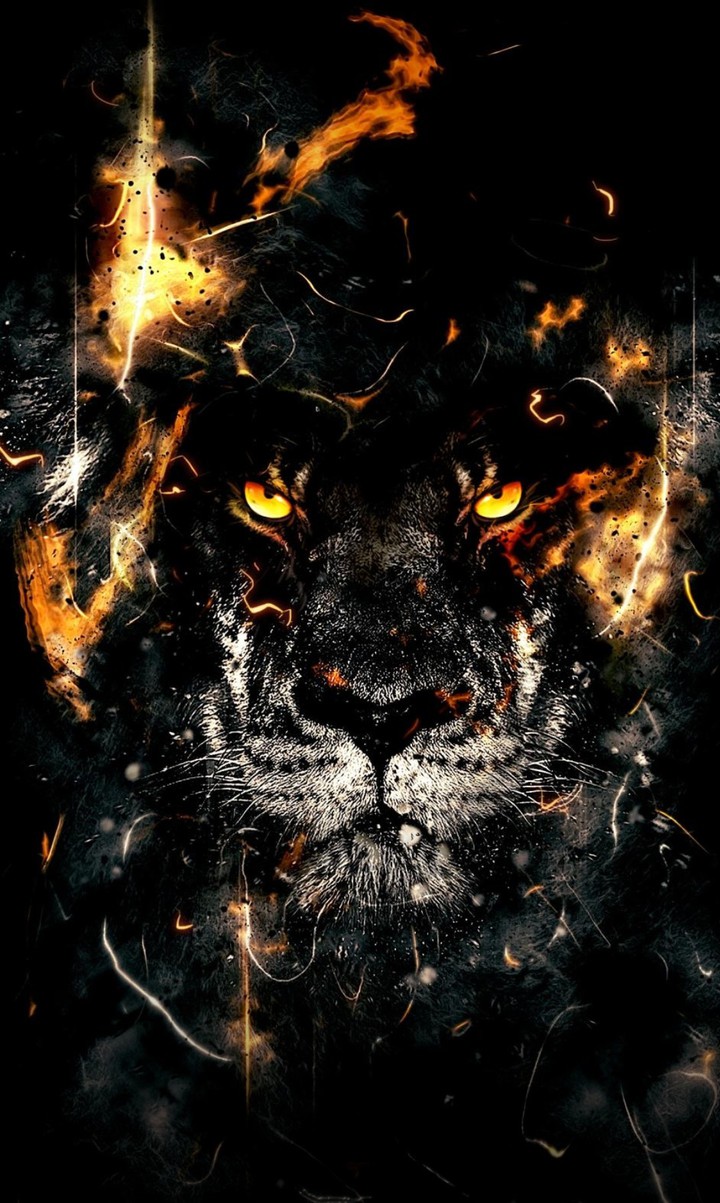 fire lion