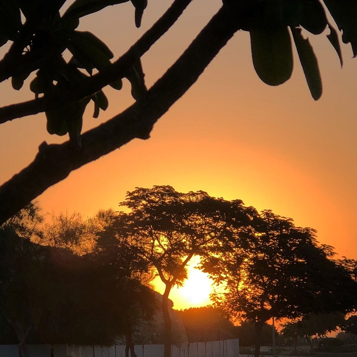 Sunrise