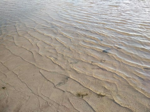 море
