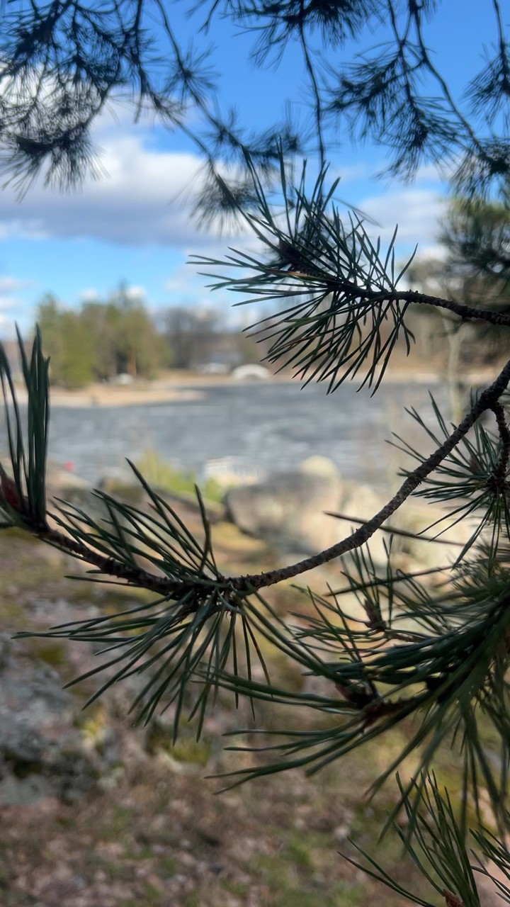 A little bit nature