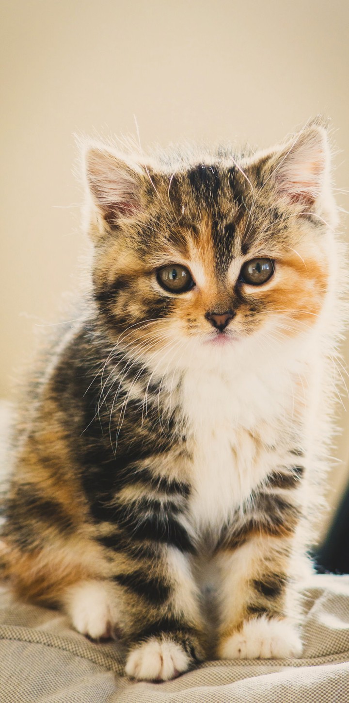 ♥