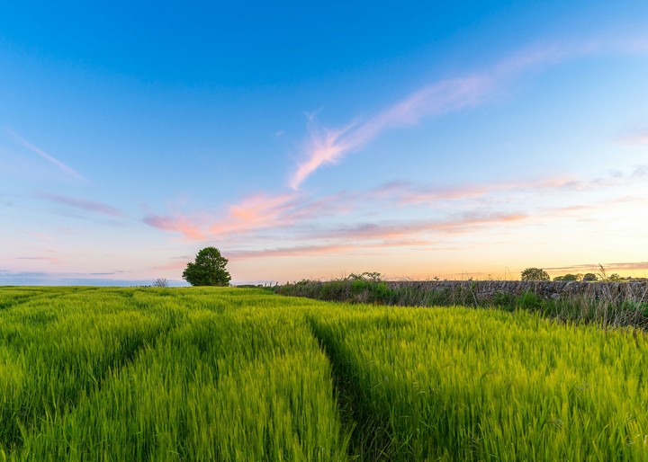 green valley