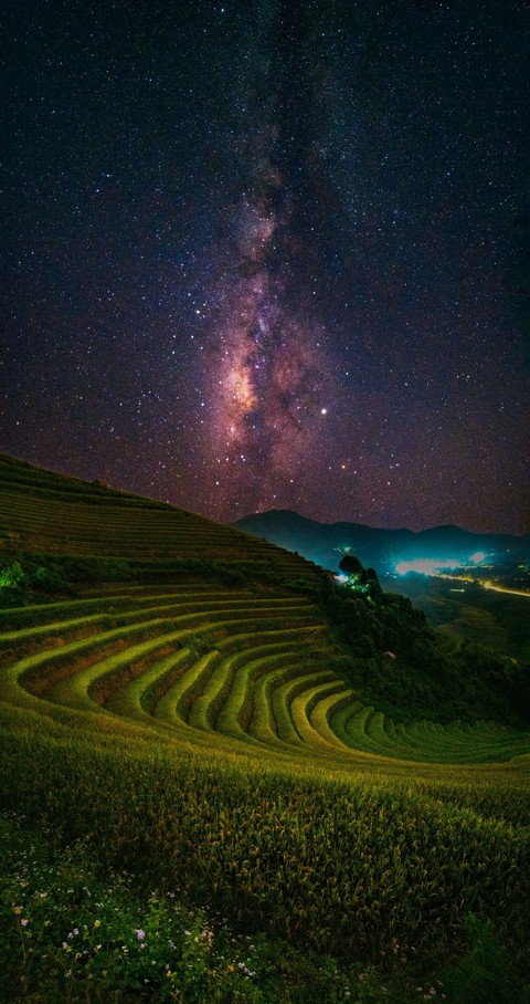 농장 배경화면